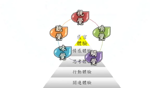 圖 1-1  體驗類型的五種型式，與感官體驗之五種感官 