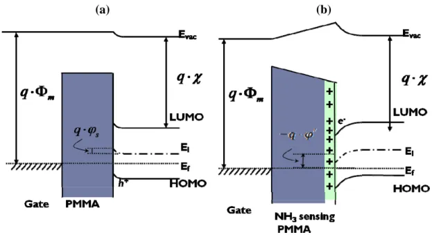 Figure 3-6. Energy band of (a) standard OTFTs and (b) Ammonia sensing PMMA  OTFTs 