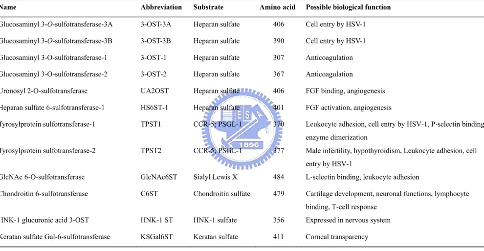 Table 2.    Human membrane-bound SULTs 