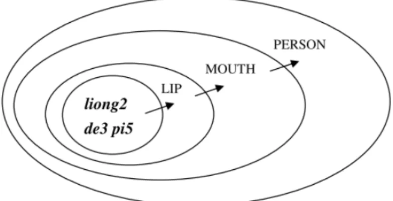 Figure 5. Triple metonymy: liong2 de3 pi5 (兩垤皮) ‘two pieces of skin’ stands for  lips for a mouth for a person 