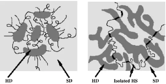 Figure 1-2. Hard domains (HD) and soft domains (SD) of TPUs with (a) a low hard  segment content where HDs are isolated; and (b) a high hard segment content where  HDs are interconnected