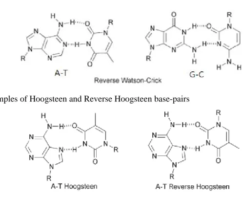 Figure 2-5 Some common non Watson–Crick (non-traditional) base-pairing modes 