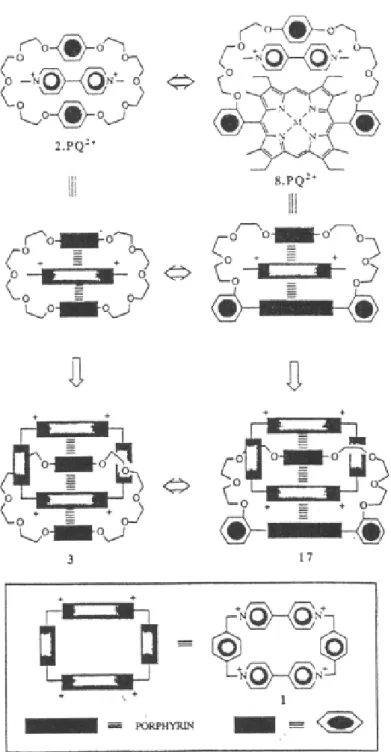 Figure 2-10 large ring system form via  π- π interaction and crosslink between rings. 