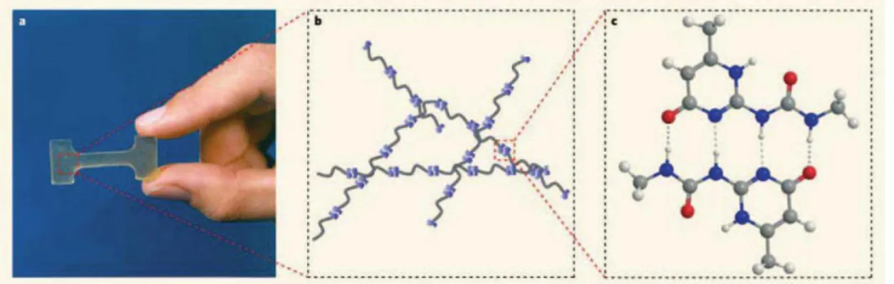 Figure 2-12: (a) Supramolecular polymeric material based on a low molecular weight  compound equipped with two ureido-pyrimidinone (UPy) units