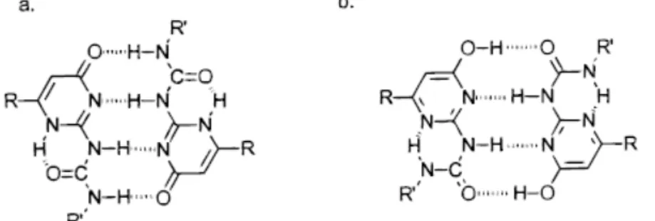 Figure  2-13.  Modes of dimerization of the UPy functional group via quadruple  hydrogen bonding: keto tautomer (a) and enol tautomer (b)