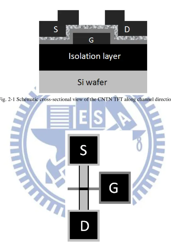Fig. 2-1 Schematic cross-sectional view of the CNTN TFT along channel direction. 