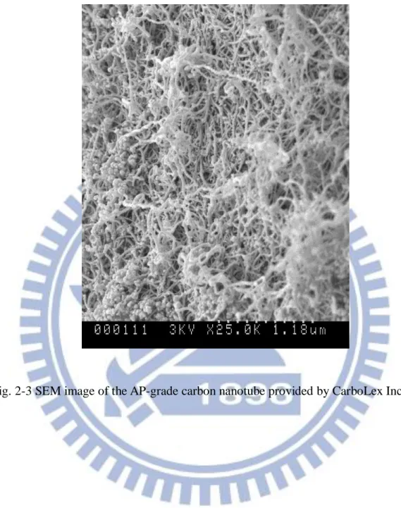 Fig. 2-3 SEM image of the AP-grade carbon nanotube provided by CarboLex Inc. 