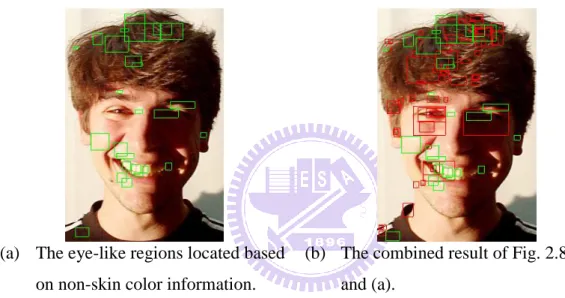 Fig. 2.9. The result of applying the proposed intensity and non-skin color based eye  detectors