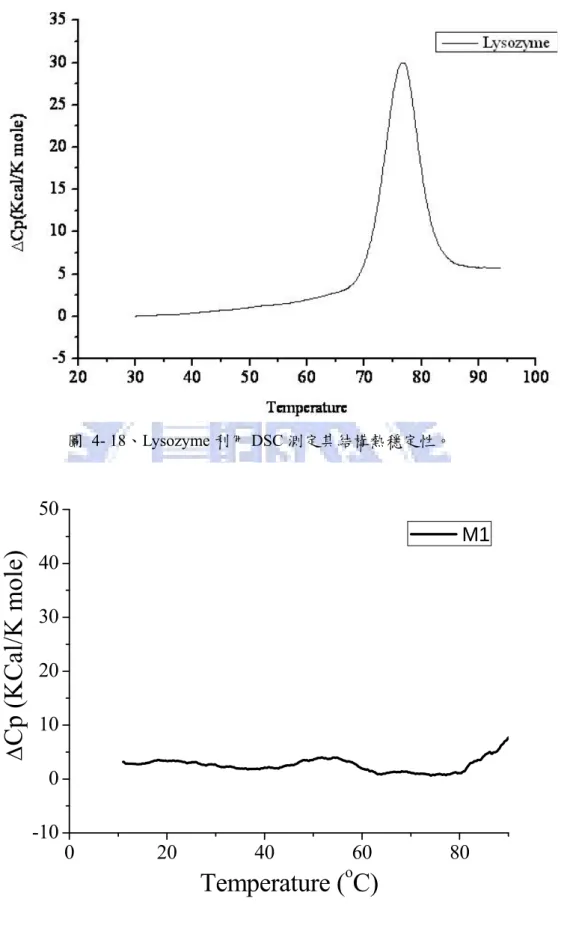 圖 4- 18、Lysozyme 利用 DSC 測定其結構熱穩定性。  0 20 40 60 80-1001020304050ΔCp (KCal/K mole) Temperature ( o C)   M1 圖 4- 19、Securin 蛋白質在 M 1 時的熱穩定性。 