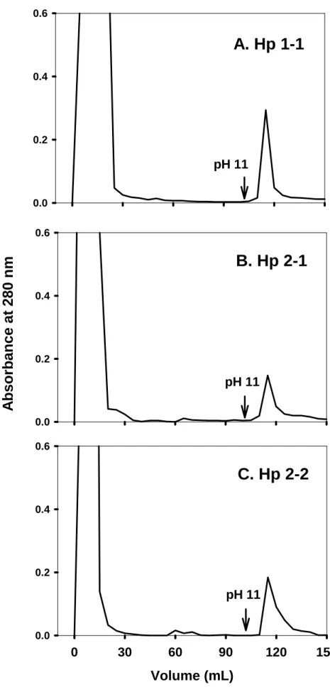 Fig 2.  B. Hp 2-1 0.00.20.40.6 A. Hp 1-10.00.20.40.6 C. Hp 2-2 Volume (mL)0306090 120 150Absorbance at 280 nm0.00.20.40.6pH 11pH 11pH 11