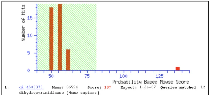 Figure 2. Purified recombinant hDHP analyzed by MALDI-TOF after trypsin-in-gel 