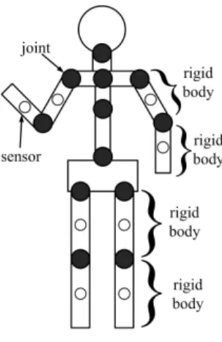 Figure 5: Human body model