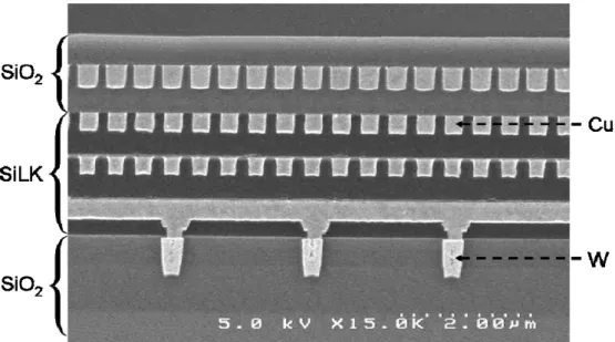 Figure 2.6 SEM cross-sectional image of Cu-SiLK TM  interconnect structure [5]. 