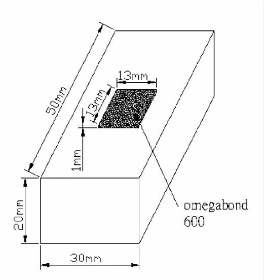 圖 3-3 將 Omegabond 600 塗在鐵龍的溝槽 