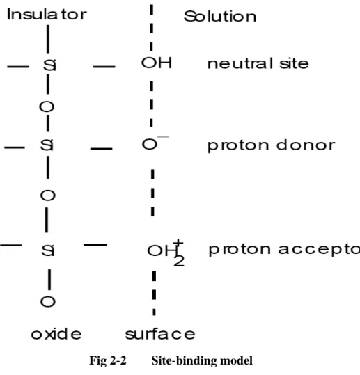 Fig 2-2    Site-binding model 