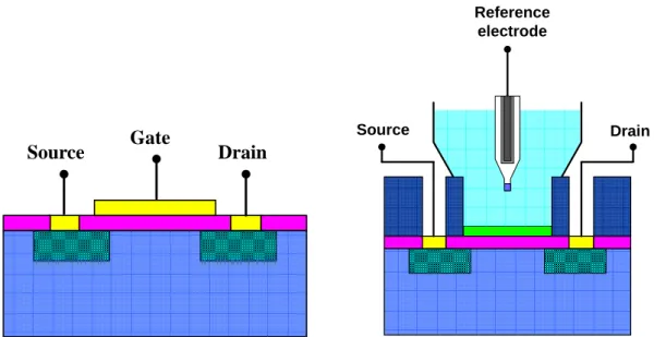 Fig 2-1 MOSFET and ISFET cross-section structure 