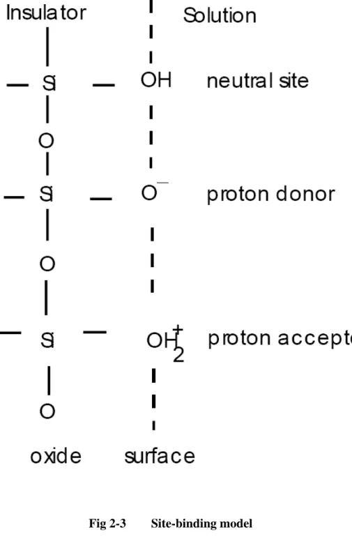 Fig 2-3    Site-binding model 