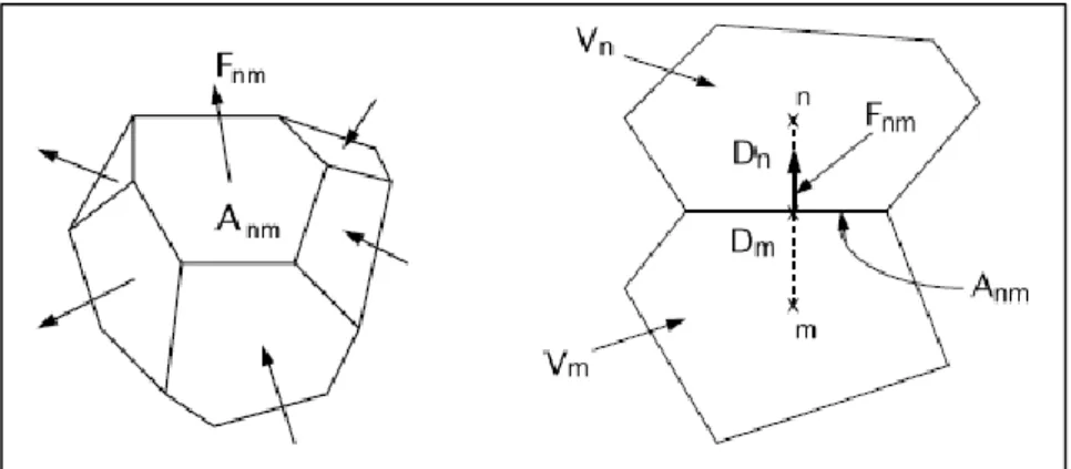 圖 2-19 TMVOC 離散模型(Pruess et al., 2002)  為 k 在 β 相流體的濃度，F β,nm 為 β 相在 A nm 上的垂直分量平均流速。F β,nm 以 廣義達西定義可表示成：        =               [                           ]...…………………………..(式 2-8)     為在 V n 中的絕對滲透係數 （Intrinsic Permeability） ，     為 β 的相對滲透係數， 為 β 相密度， 為在