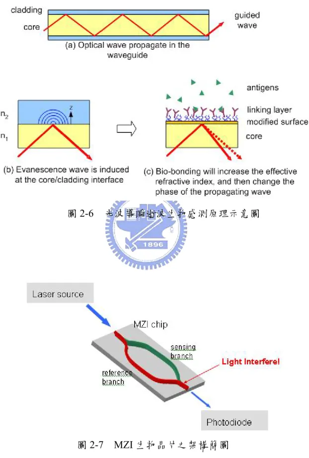 圖 2-6  光波導瞬逝波生物感測原理示意圖 