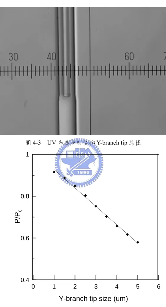 圖 4-3  UV 光源光刻後的 Y-branch tip 結構 