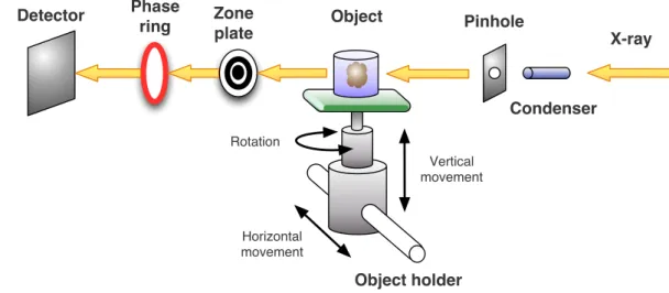 Figure 1.1: The structure of synchrotron X-ray microscope.