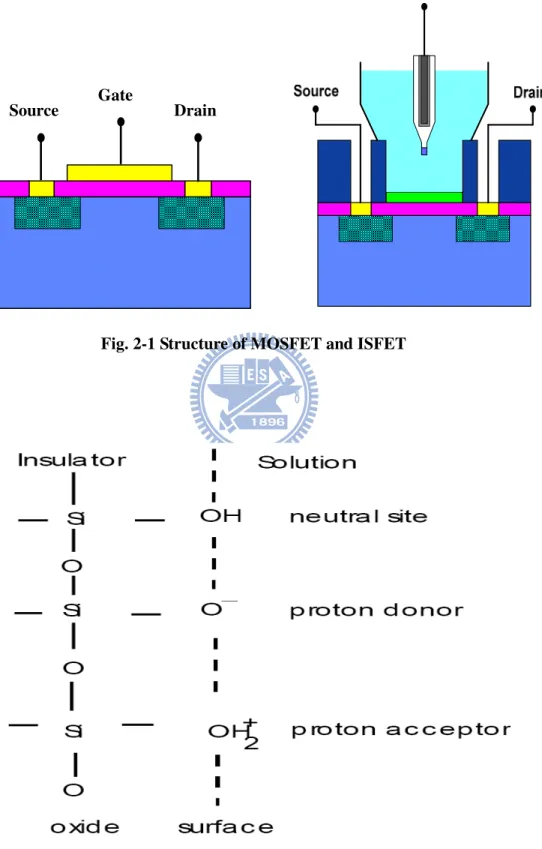 Fig. 2-2 Site-binding model Gate 