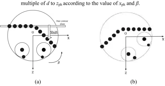 Figure 2.18 An illustration of the shift of hair contour points. (a) Before rotation. (b) After rotation