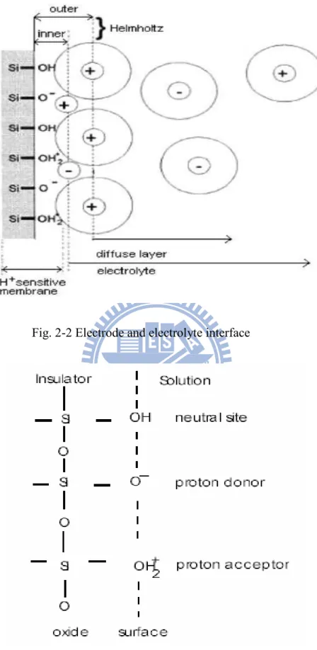 Fig. 2-3 Schematic representation of the side-binding model 