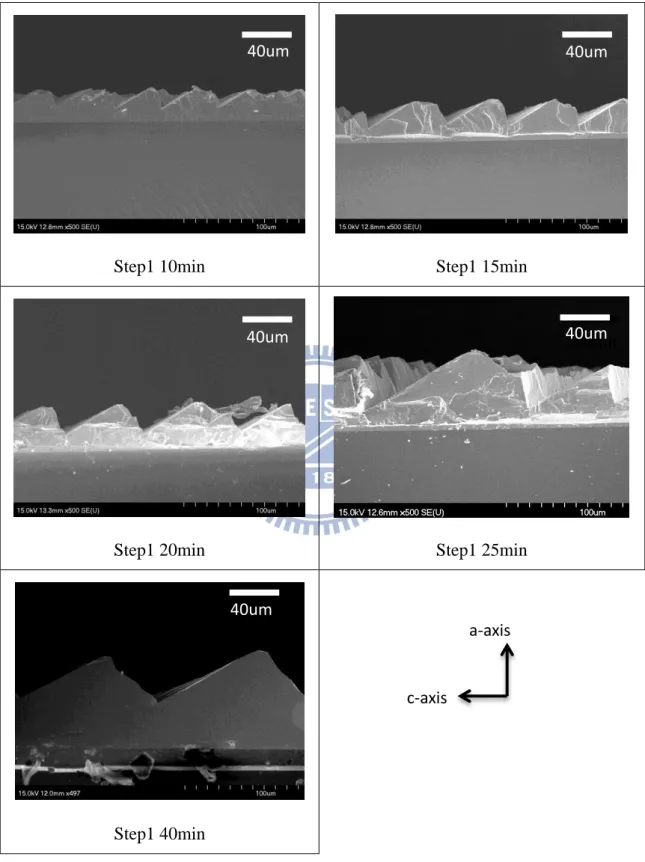 圖 4-1-3-1  第一階段成長隨時間變化 SEM plane-view 