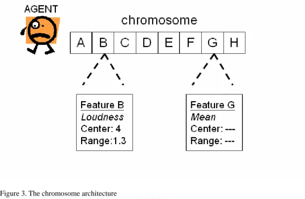 Figure 3. The chromosome architecture 