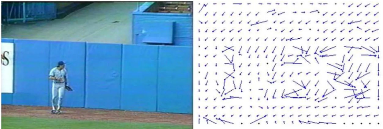 Figure 2.1: A frame of a baseball game sequence and its corresponding motion vectors.