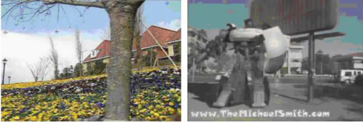 Figure 2.4: Two images with different texture coarseness.