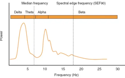 Figure 2.2: Schematic representation of MF and SEF90 [44]. The median frequency (MF) is the freqeuncy that divides the area under the curve in half, and the 90% spectral edge frequency (SEF90) is the frequency which divides the area area into 90% and 10%.