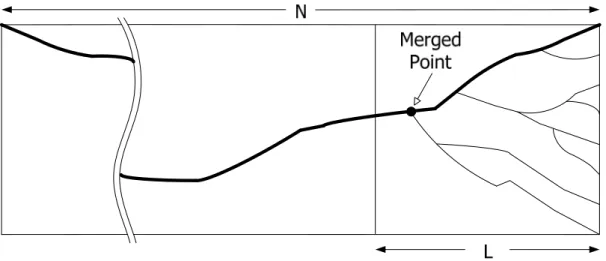 Figure 2.8 Truncated survivor paths 