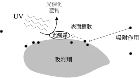 圖 2.5.1  吸附劑結合光觸媒使表面富集污染物進而加速去除          至於吸附劑的選擇上，一般常見作為光觸媒載體的吸附劑包括分 子篩、活性碳、矽膠(SiO 2 )、有機薄膜與高分子聚合物等(張 et al.,  2004)。活性碳由於具有大比表面積、價格便宜等因素，使得廣泛被 用作光觸媒載體。不過活性碳不耐高溫，而一般二氧化鈦溶液的鍛燒 熱處理程序往往高達 400℃以上，因而限制了活性碳與高分子聚合物 等基材作為光觸媒載體的應用。          相對之下沸石具有多孔洞且結構穩定、化性穩定與熱