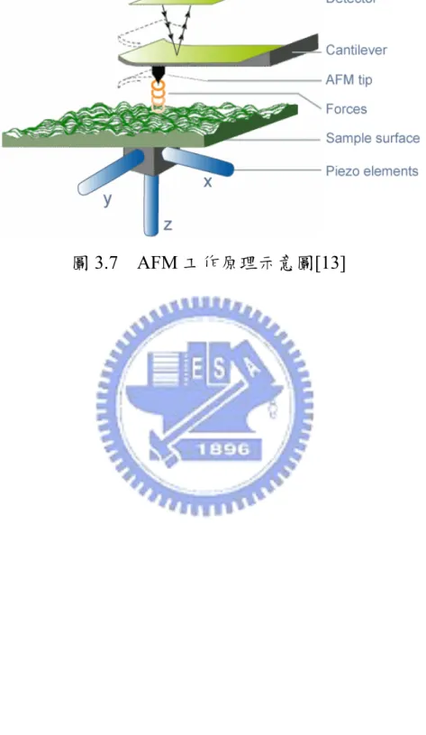 圖 3.7  AFM 工作原理示意圖 [13] 