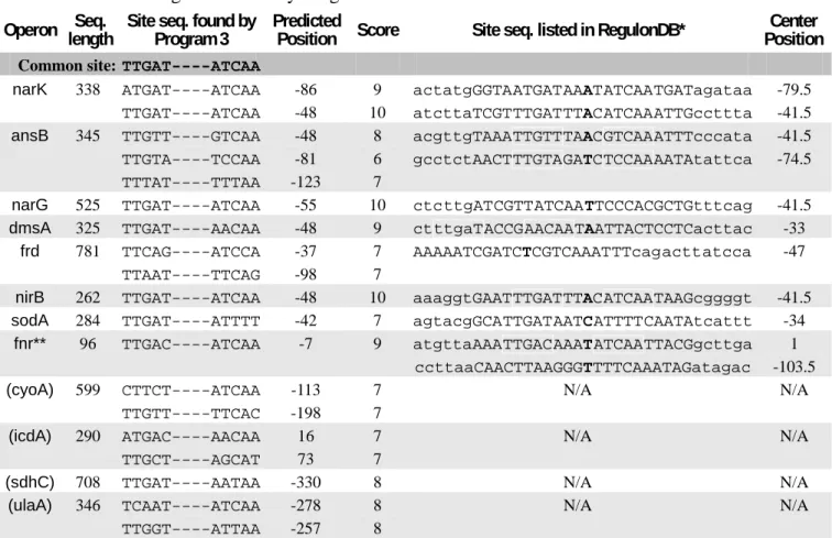 Tab. 2. FNR binding sites found by Program 3  Operon  Seq.  length  Site seq. found by 