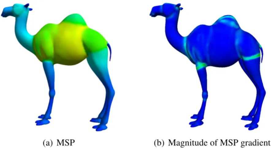 Figure 4.1: MSP and the magnitude of MSP gradient on the camel model.
