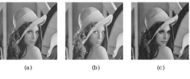Fig. 2-12. (a) The original of Lena  image      (b) Dilation of Lena image 