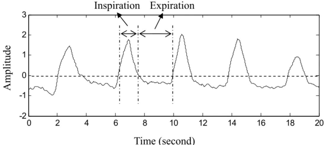 Fig. 3.5 Respiratory signal. 