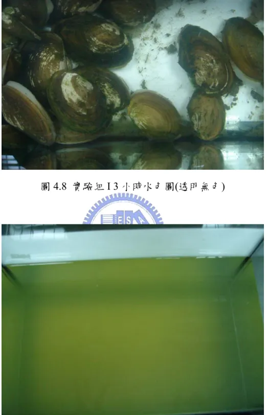 圖 4.9  實驗組 II 3 小時水色圖 