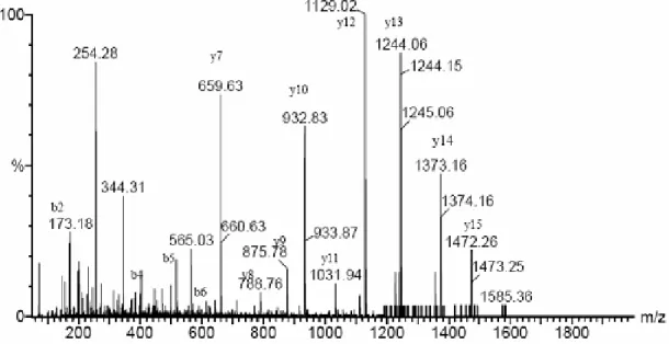 Figure 2-4A. MS/MS analysis of the peptide labeled with I-14. MS/MS daughter-ion  spectrum of the unlabelled peptide (m/z 822.6 in the doubly-charged state)