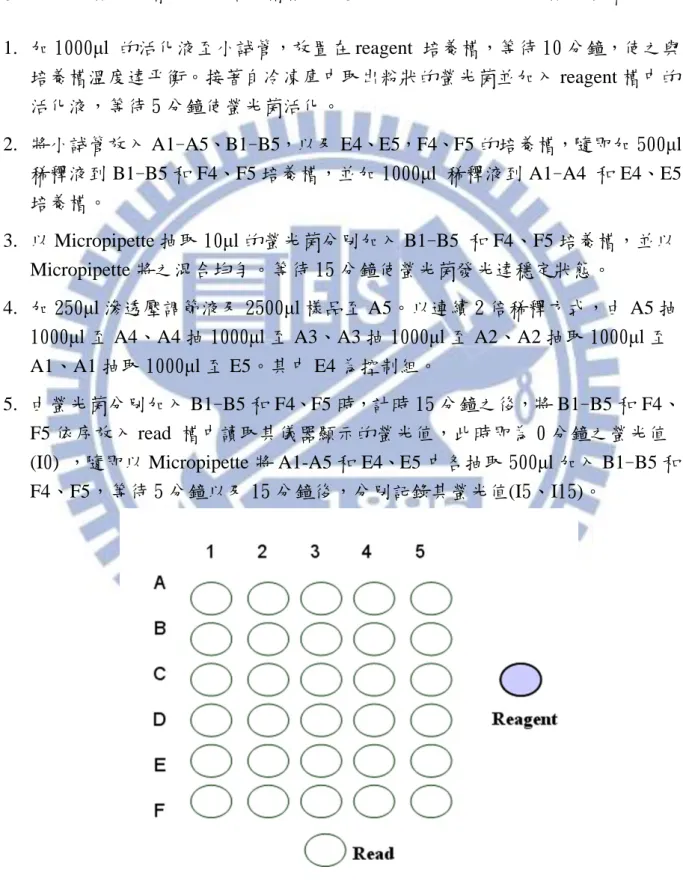 圖 4.3.3： Microtox ®  螢光快速分析儀的 32 個槽其相關位置圖
