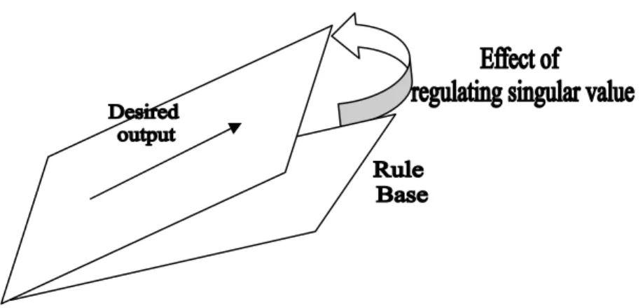Figure 5: Rule base transformed by regulating singular values. 