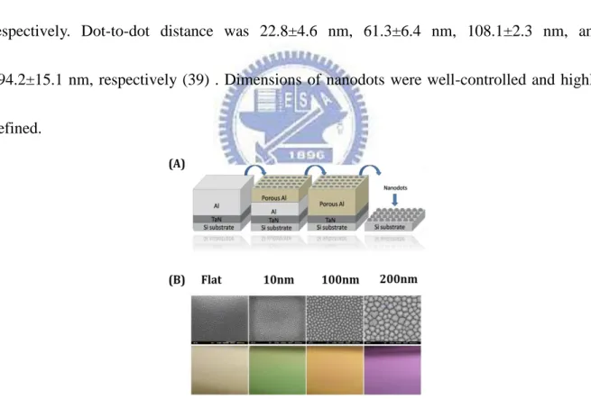 Fig 1 Tantalum-based nanodot arrays fabricated by AAO processing. 