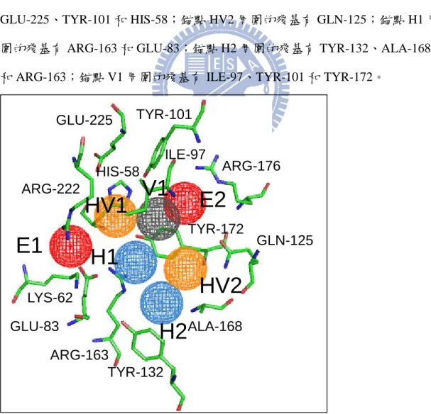 圖  十一  錨點位置圖—Thymidine kinase。共 7 個錨點：2 個靜電作用力錨點，2 個氫鍵與凡得瓦 作用力錨點，2 個氫鍵作用力錨點以及 1 個凡得瓦作用力錨點。 TYR-172ARG-176TYR-101 GLN-125ALA-168TYR-132ARG-163GLU-83LYS-62ILE-97ARG-222GLU-225HIS-58HV1HV2E1E2H1H2V1