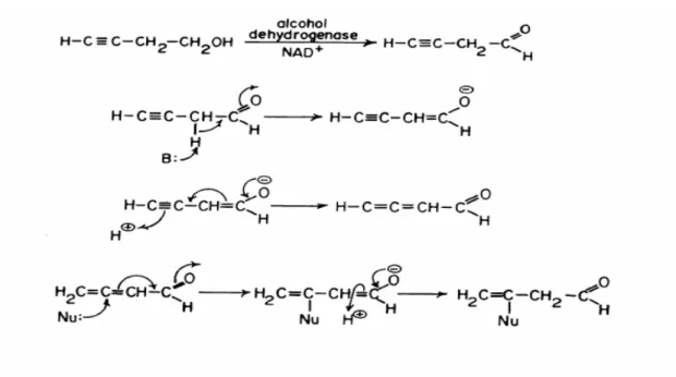 Fig. 2.6.3 homopropargylic alcohol 前親電性之作用機制 