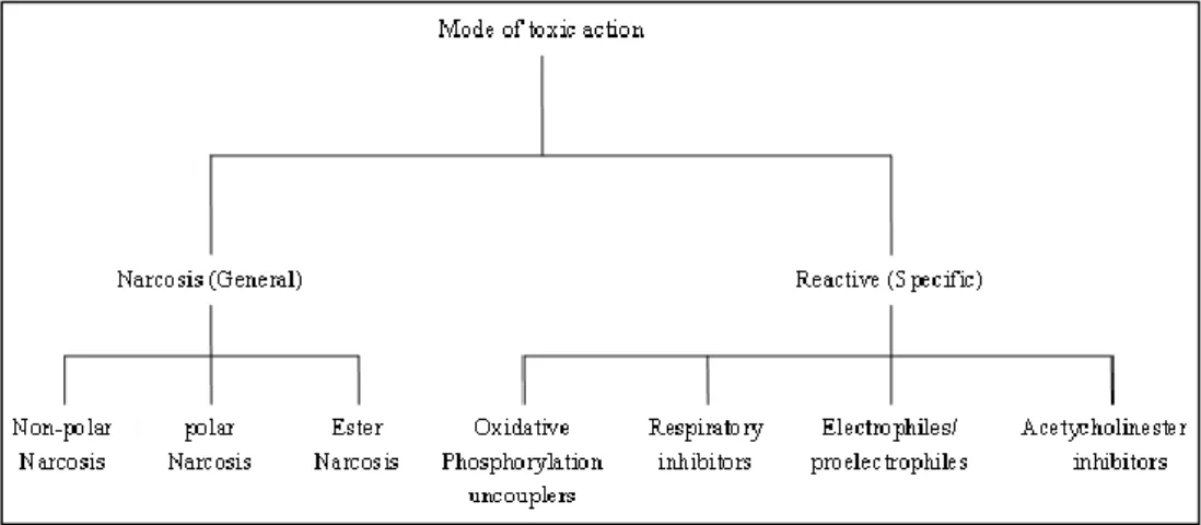 Fig 2.3.1 Classification of toxicity mechanism in aquatic toxicity tests[29] 