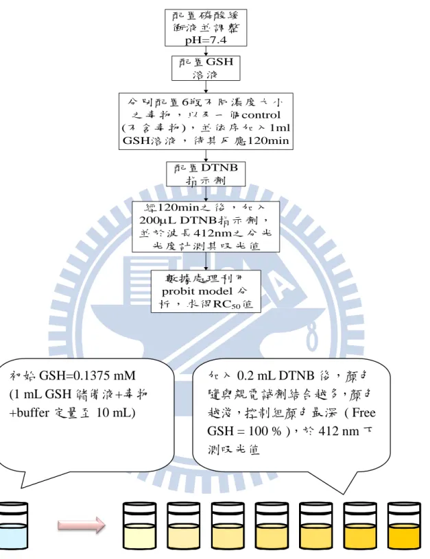 Fig 4.7.1 The flow chart of RC 50  experiment 初始 GSH=0.1375 mM     (1 mL GSH 儲備液+毒物+buffer 定量至 10 mL)  加入 0.2 mL DTNB 後，顏色 隨與親電詴劑結合越多，顏色 越淺，控制組顏色最深  ( Free GSH = 100 % )，於 412 nm 下測吸光值