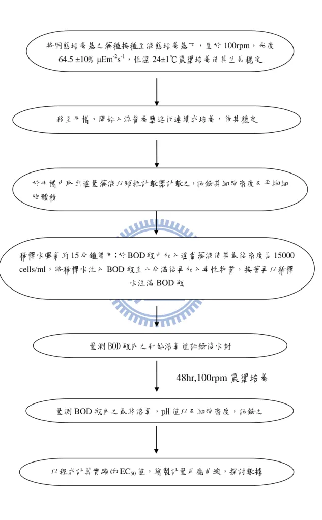 圖 4.9.2.2 藻類毒性詴驗流程圖  稀釋水曝氣約 15 分鐘備用；於 BOD 瓶中加入適當藻液使其最後密度為 15000 cells/ml，將稀釋水注入 BOD 瓶至八分滿後再加入毒性物質，接著再以稀釋水注滿 BOD 瓶 量測 BOD 瓶內之初始溶氧值記錄後水封 48hr,100rpm 震盪培養 將固態培養基之藻種接種至液態培養基下，置於 100rpm，光度64.5 ±10﹪μEm-2s-1，恆溫 24±1℃震盪培養使其生長穩定 移至母槽，開始入流營養鹽進行連續式培養，待其穩定 於母槽中取出適量藻液以